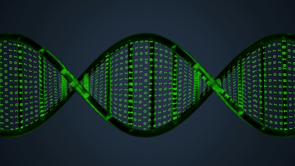 Is Gipa The New Bipa Illinois Other Personal Privacy Law