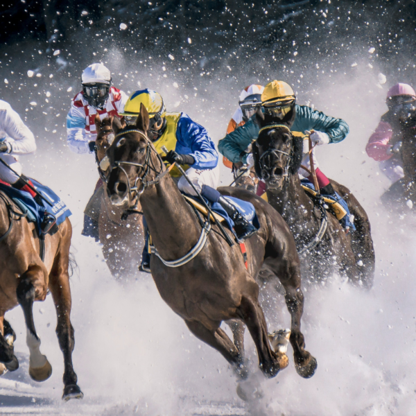 Horseracing in snow